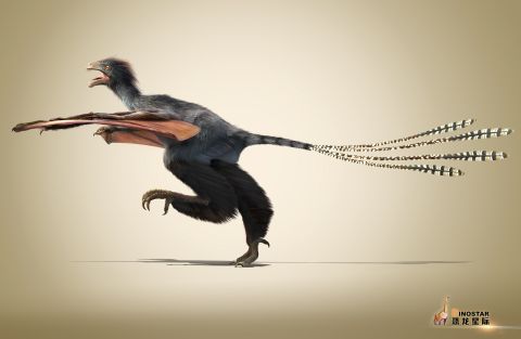 This <a href="http://edition.cnn.com/2015/04/30/asia/china-dinosaur-yi-qi/">unusual dinosaur with bat-like wings</a> existed for a very short time 160 million years ago during the Jurassic Period.