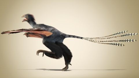 dinosaur Yi qi 8