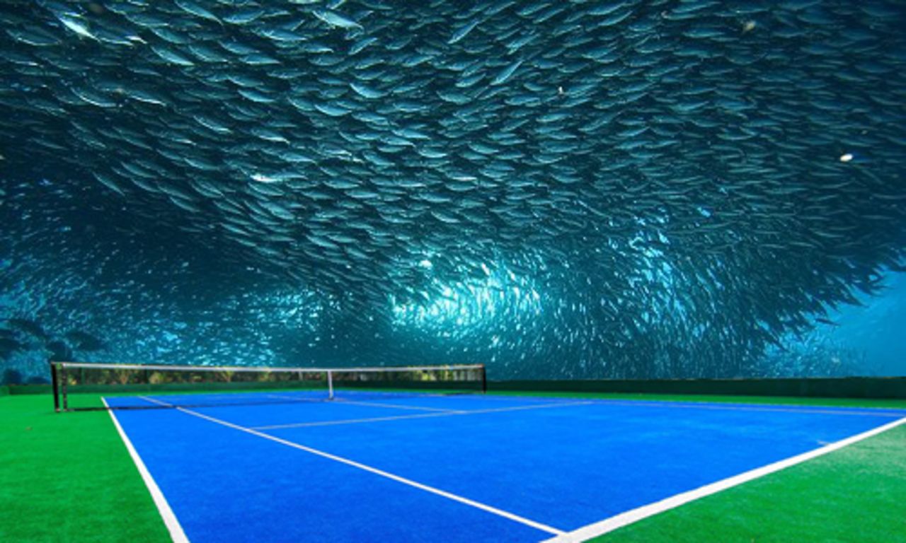In case the tennis isn't up to scratch, the underwater court is designed to offer spectacular views of nature and could be built under the sea. The main arena is planned to seat 10,000 spectators.