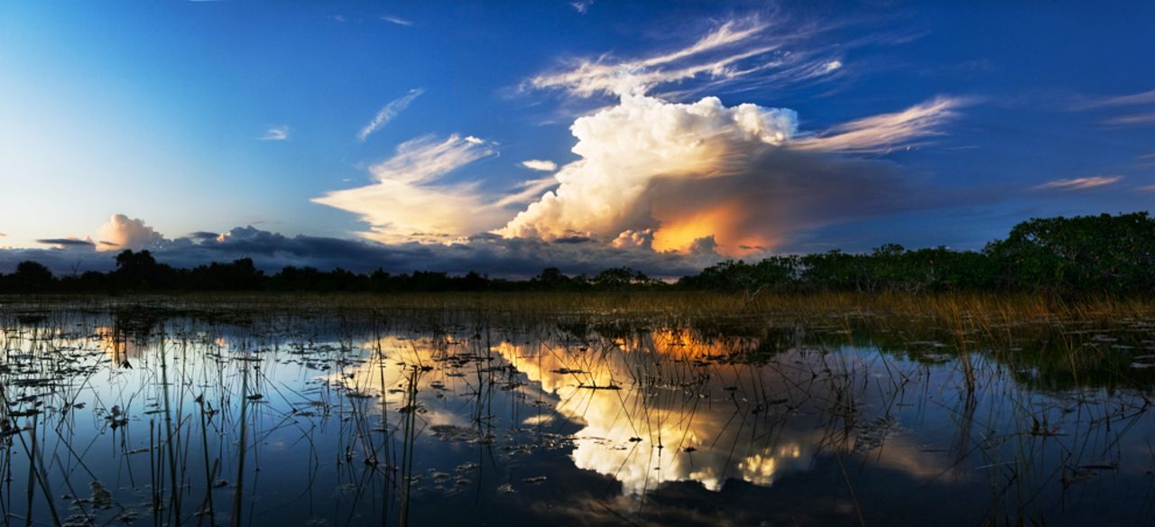 Everglades National Park was the first U.S. national park set aside for its biodiversity. 