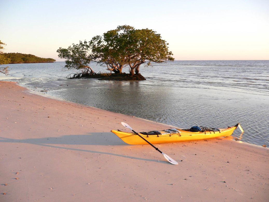 You could spend a few hours or a few days paddling among the Everglades' marshes, mangrove islands and orchid-lined canals.