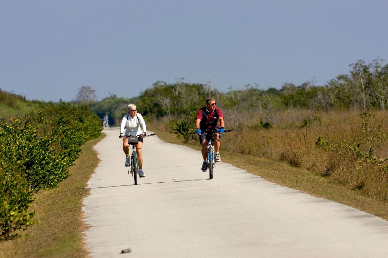 Shark Valley's 15-mile tram and bike loop cuts through a flat-as-a-board freshwater ecosystem of sawgrass marsh and tree islands. Alligator sightings are almost guaranteed.