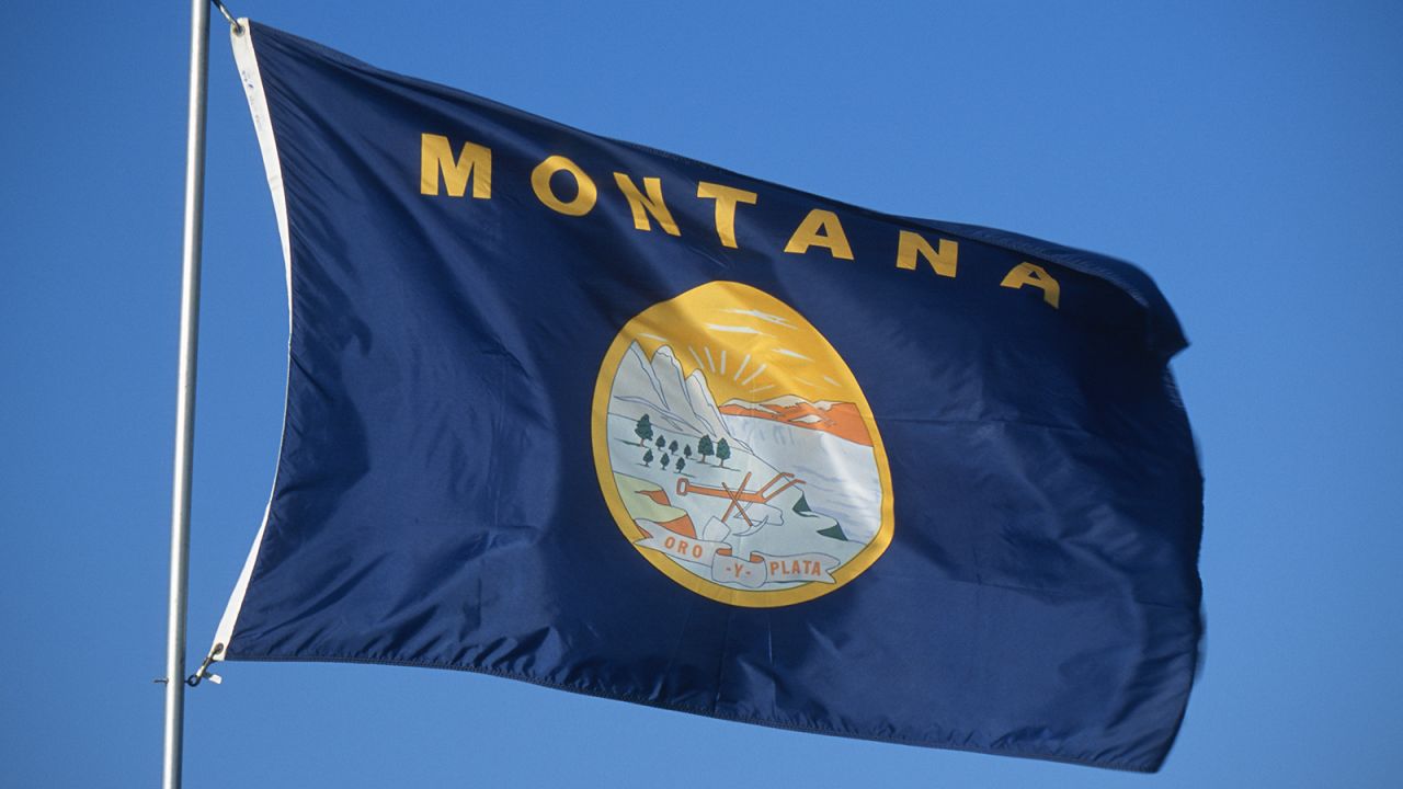<strong>The Worst</strong> -- 49. Montana<br />"Here's another state whose symbol has failed its duty -- so the state's name appeared on the flag in 1981." -- Ted Kaye, author of "Good Flag, Bad Flag"
