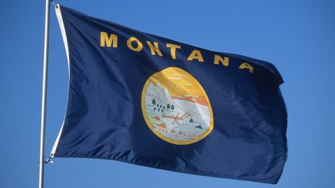 <strong>The Worst</strong> -- 49. Montana<br />"Here's another state whose symbol has failed its duty -- so the state's name appeared on the flag in 1981." -- Ted Kaye, author of "Good Flag, Bad Flag" 