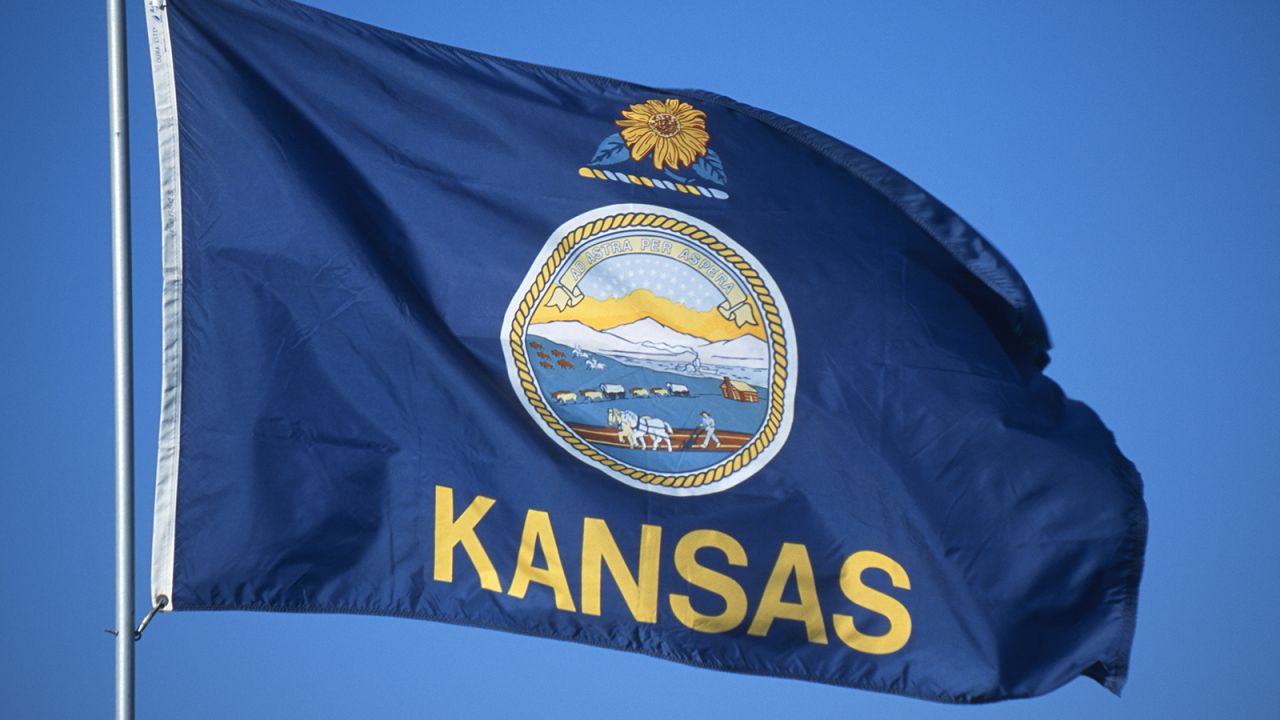 <strong>The Worst</strong> -- 48. Kansas:<br />"Since the seal by itself fails to identify the state at any distance, Kansas added its name to the flag. Ironically, the existing 'state banner' -- a sunflower on a blue field --  would prove an outstanding replacement." -- Ted Kaye, author of "Good Flag, Bad Flag" 