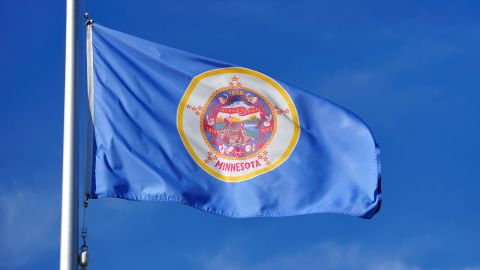 <strong>The Worst </strong>-- 46. Minnesota<br />"While the state's 'North Star' is hiding in the design, the detail of the multicolored seal is unrecognizable at a distance." -- Ted Kaye, author of "Good Flag, Bad Flag" 