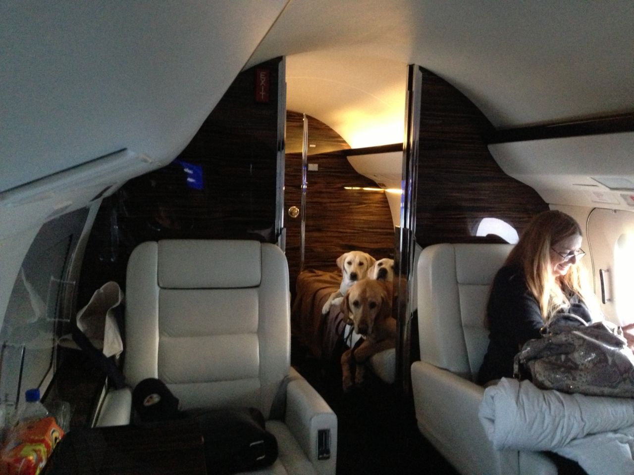 Chaz Dean's Labradors Hunter, Bella Moon and Riley June get comfortable in the back of a Gulfstream jet for their journey from L.A. to Pennsylvania.