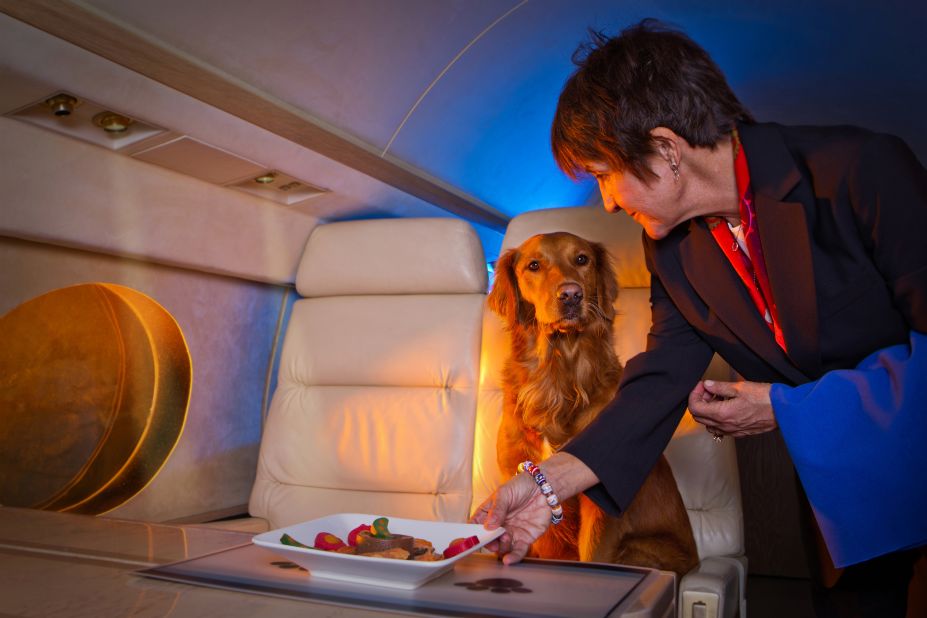 Veteran flight attendant Carol Martin rolls out the red carpet for her four-legged passengers. Many pets on private jets receive the same five-star treatments as their owners.
