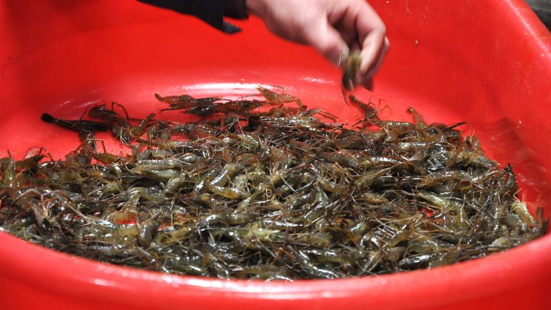 South of Jiangsu produces the best river prawns for the dish. They have tighter meat -- a more desirable texture for the dish.