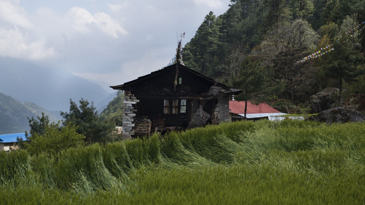 The fields are lush with new wheat, but little remains of this farmer's house in the village of Rimijung.
