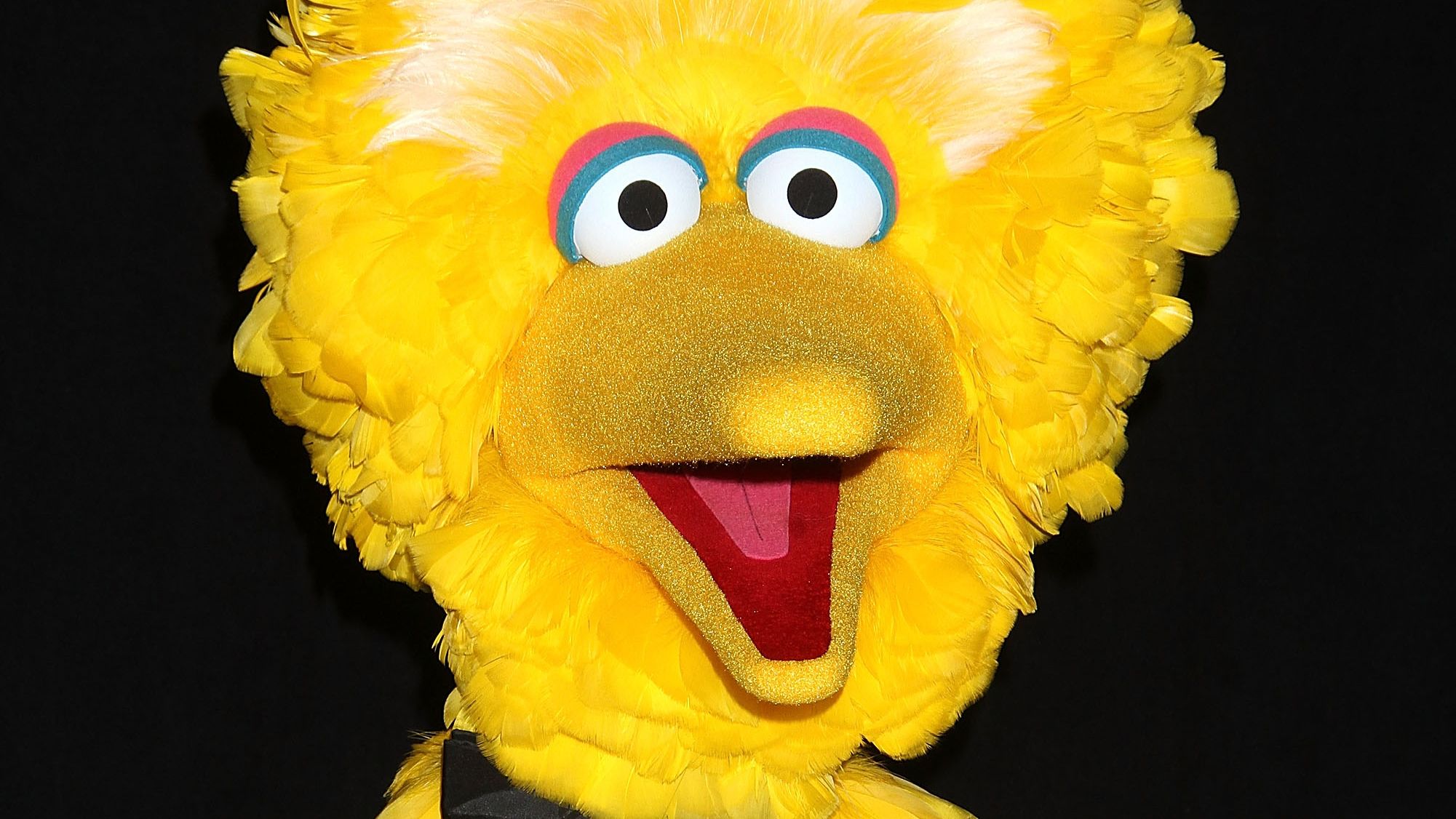 Ted Cruz has found the real vaccine enemy: Big Bird | CNN Politics