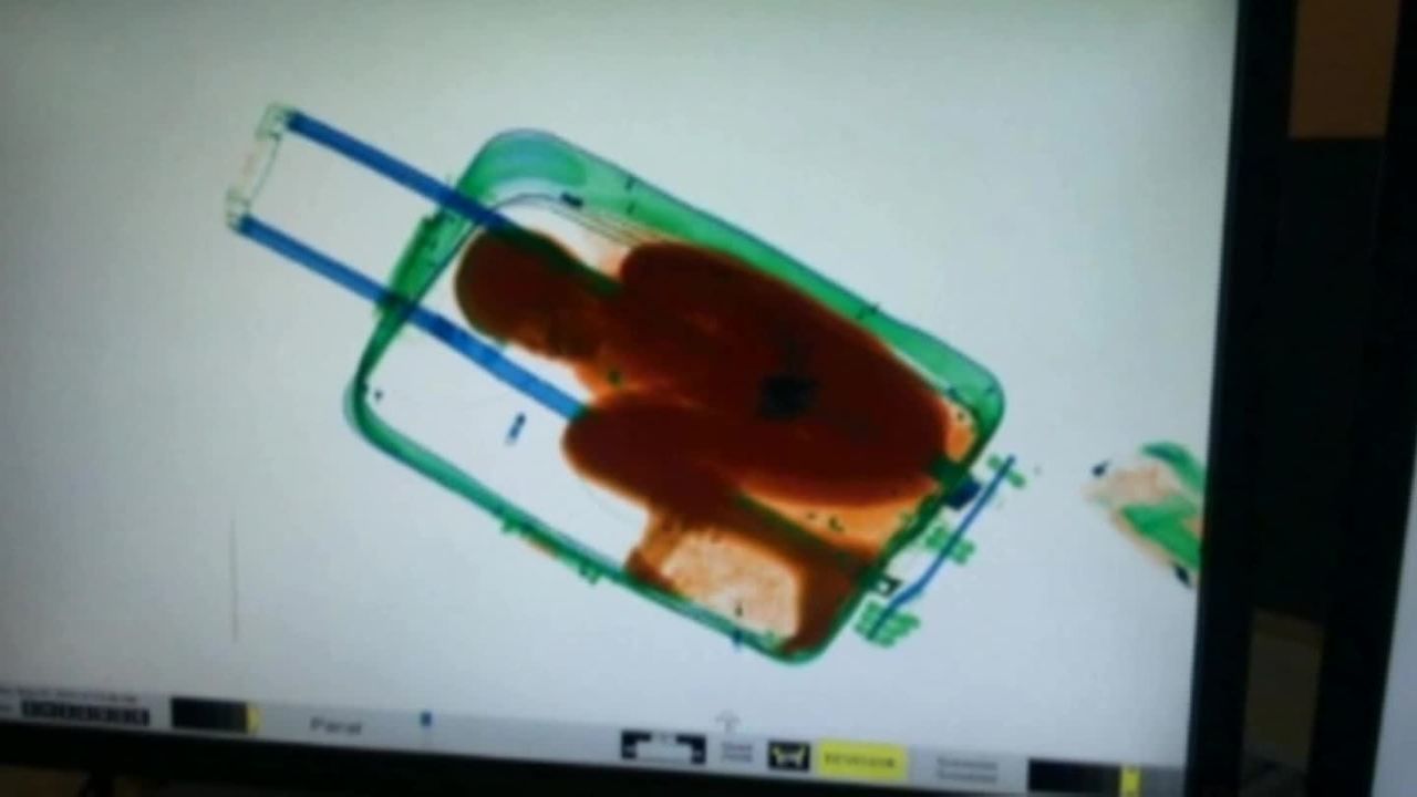 This x-ray shows the boy, 8, hiding in the suitcase, according to officials.