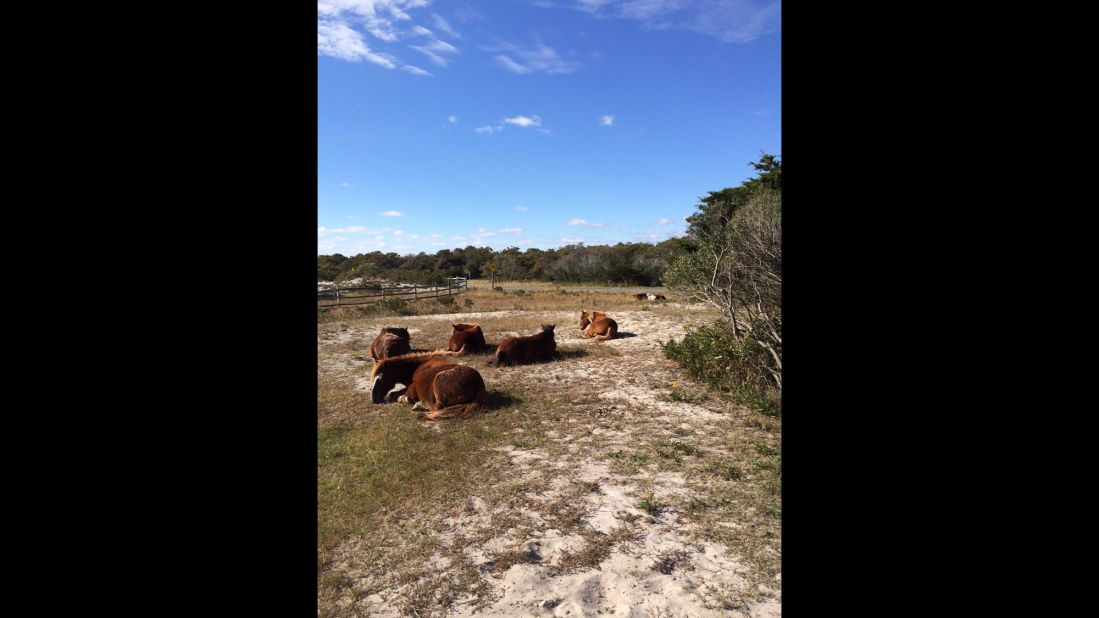 <strong>Oceanside Campground, Assateague Island National Seashore, Maryland.</strong> There are 104 waterfront camping spaces on the island, where visitors can see the island's wild horses on a sliver of land between Chincoteague Bay and the Atlantic Ocean.