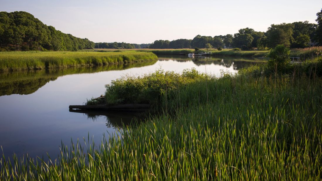 Lyme disease gets its name from where it was first diagnosed, in Old Lyme, Connecticut. 