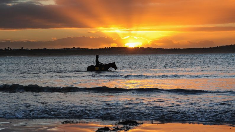 A horse wades in Lady Bay on Wednesday, May 6, during a Warrnambool trackwork session in Warrnambool, Australia.