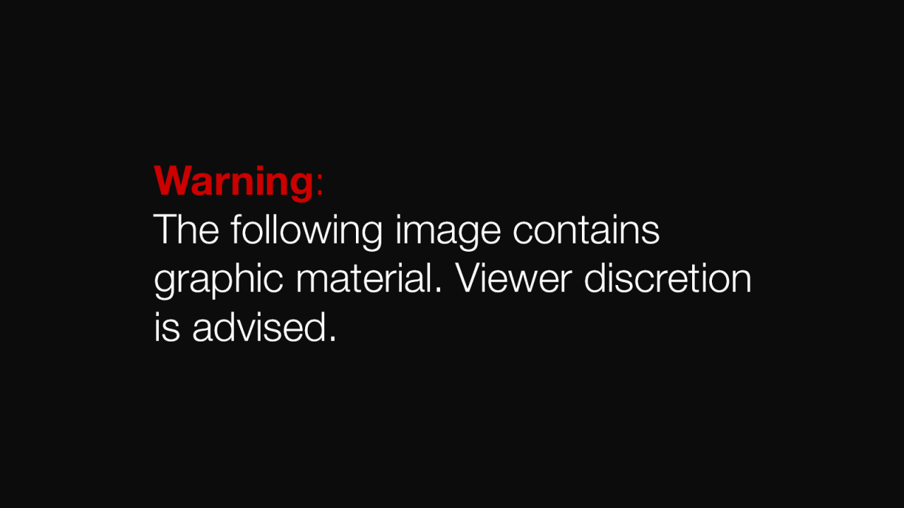 warning slide - for additional graphic image