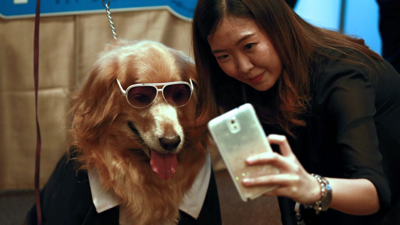 A woman in Bangkok, Thailand, takes a selfie with a golden retriever on Monday, May 11, during a news conference for Pet Expo Thailand. The pet fair will be held later this month in the Thai capital.
