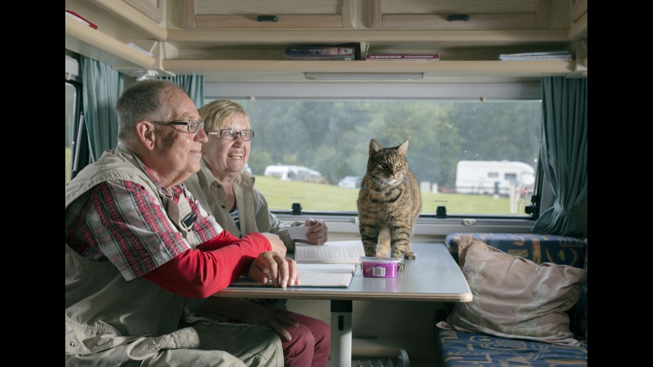 Even cats caravan.