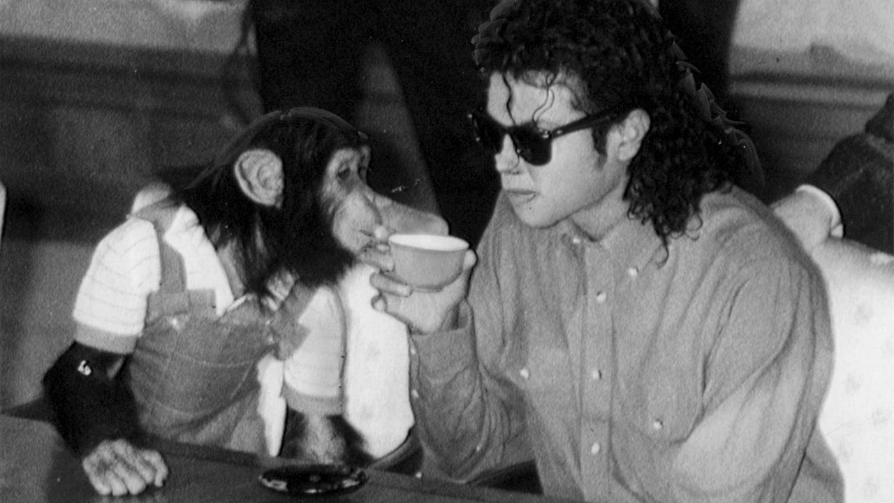 Who's bad? Well, singer Michael Jackson's ability to handle a grown-up chimp, apparently. The artist is pictured enjoying a cup of tea with his pet "Bubbles" at Osaka City Mayoral Hall on September 18, 1987, in Osaka, Japan. When <a href="http://cnn.com/2009/SHOWBIZ/Music/07/02/michael.jackson.bubbles/index.html?eref=rss_us">Bubbles became too big and strong for Jackson to keep as a pet,</a> his trainer, Bob Dunn, housed him at his training facility.