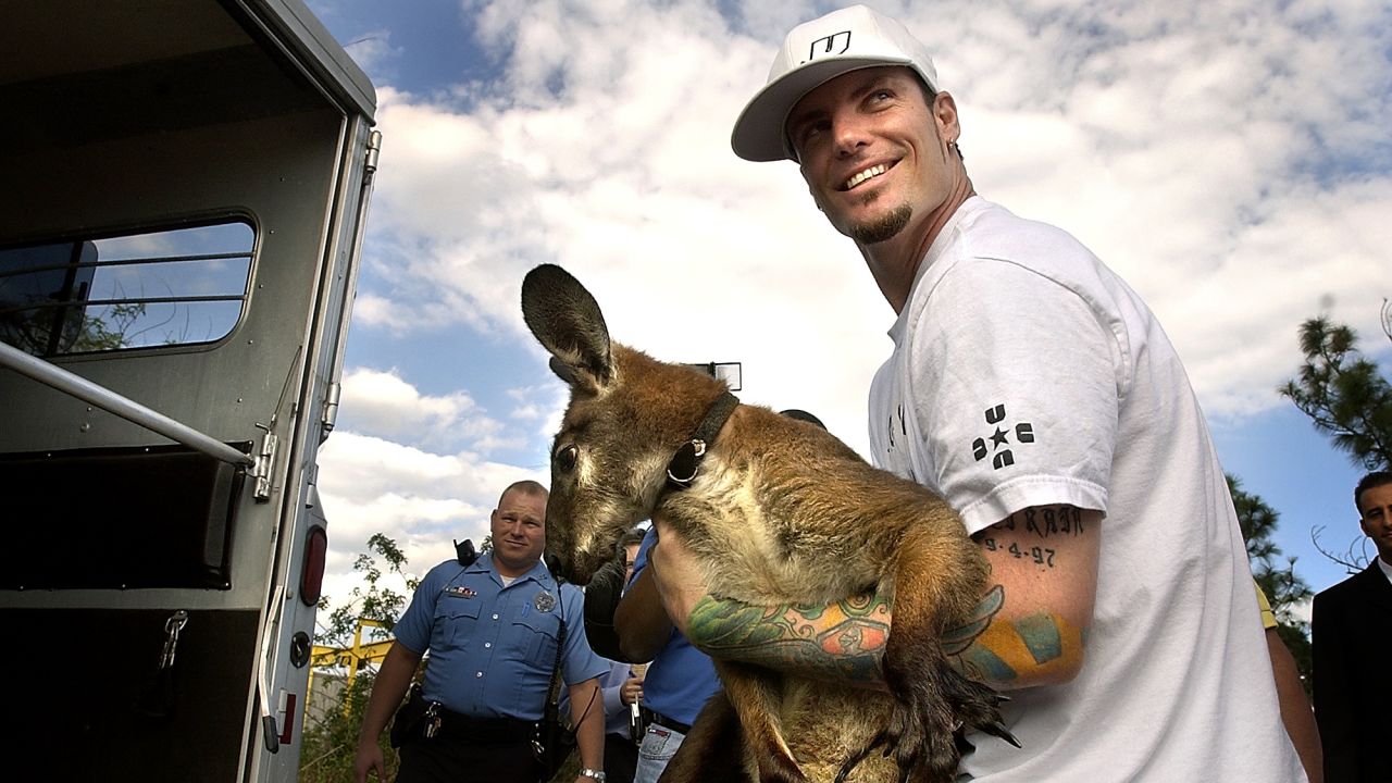 Entertainer Robert Van Winkle, formerly known as Vanilla Ice, carries his pet wallaroo, "Bucky", in Port St. Lucie, Florida, on November 19, 2004. Van Winkle also owns a pet goat, "Pancho", who allegedly <a href="http://jacksonville.com/tu-online/apnews/stories/112004/D86FRIDO0.shtml" target="_blank" target="_blank">nudged a backyard door open with his head in 2004,</a> enabling the two animals to escape and wander the streets.