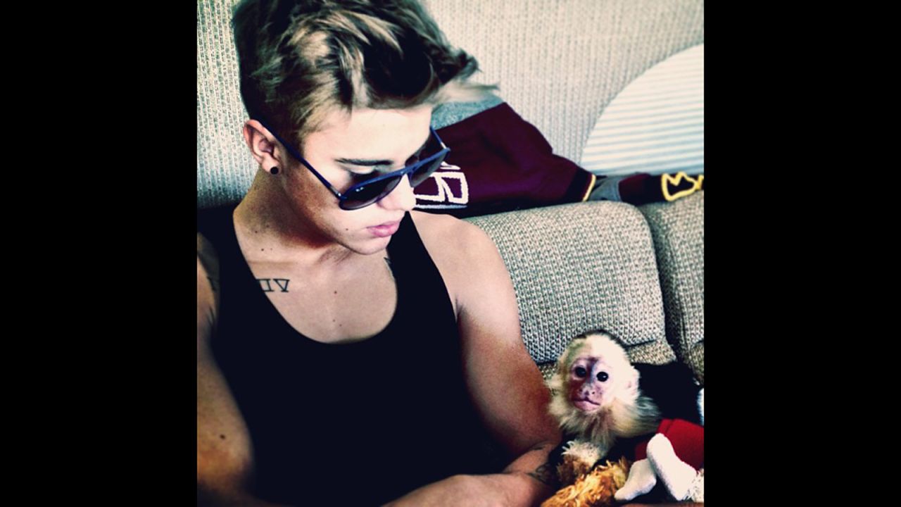 Justin Bieber poses with his pet capuchin monkey, "Mally," in a photo he posted on Instagram. <a href="http://cnn.com/2013/06/27/world/europe/germany-justin-bieber-monkey/index.html">The monkey was seized by German customs </a>officials in March 2013 after the singer brought it on tour without the right paperwork. 