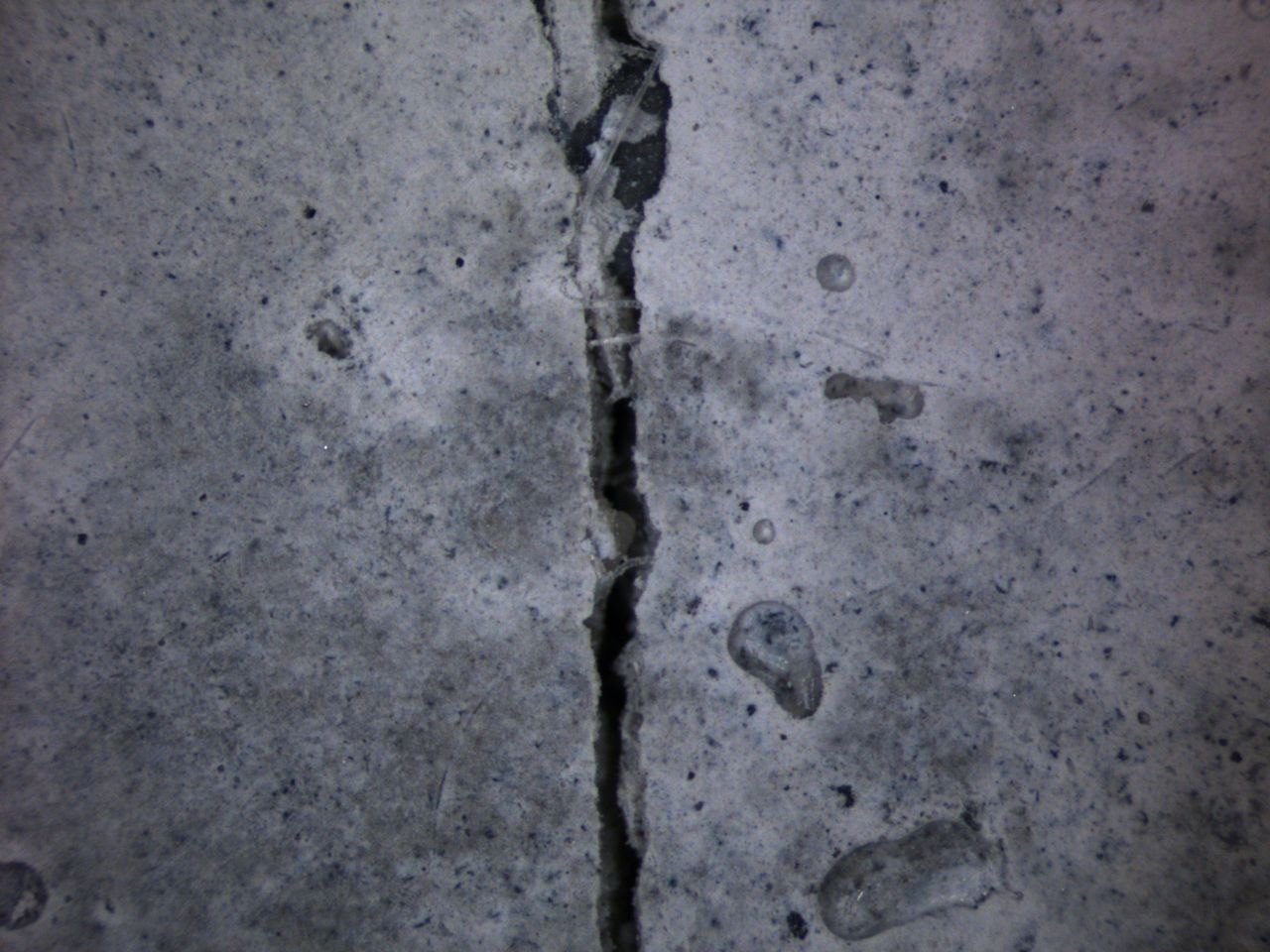Here is a test: this slab of bioconcrete has just been cracked...