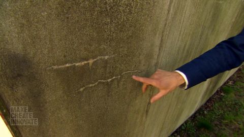 Concrete is extremely alkaline and the "healing" bacteria must wait dormant for years before being activated by water.