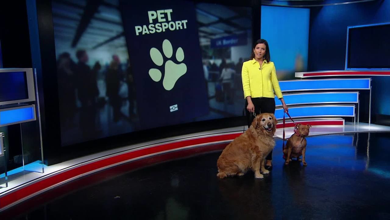 soares pets passport_00001202.jpg