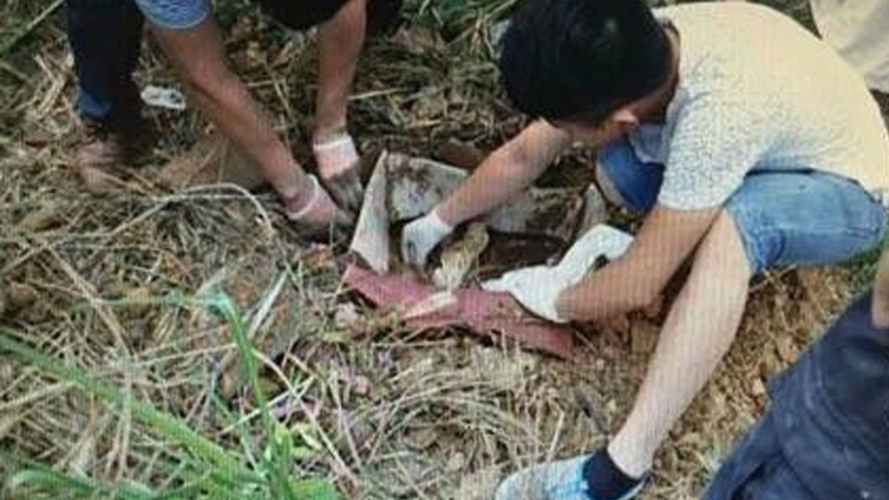 The baby was discovered in a cardboard box placed in a shallow grave.