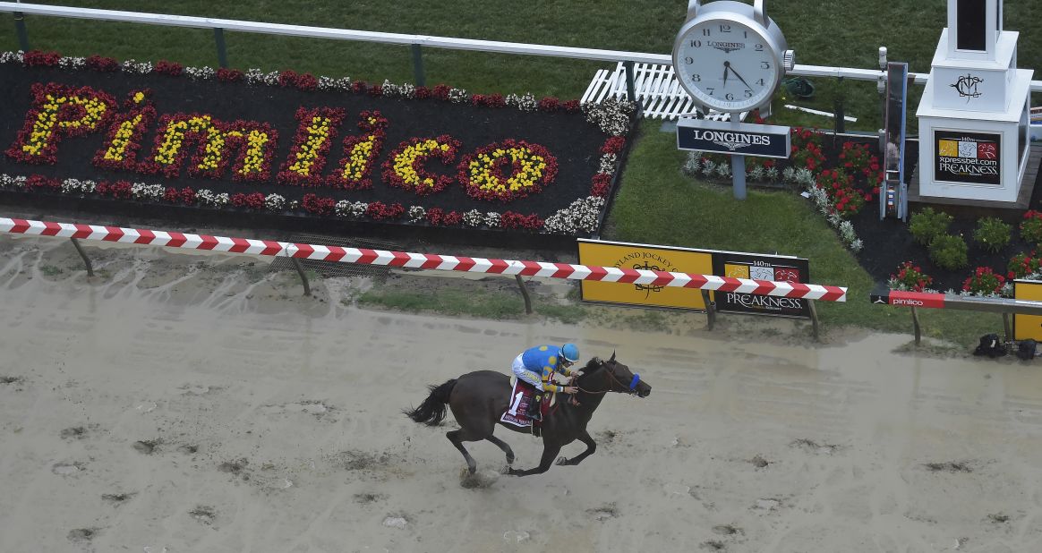 American Pharoah crossing the finish line to win the Preakness Stakes. With a win in the Belmont Stakes in New York on June 6, American Pharoah would become the first horse since Affirmed in 1978 to take the Triple Crown.