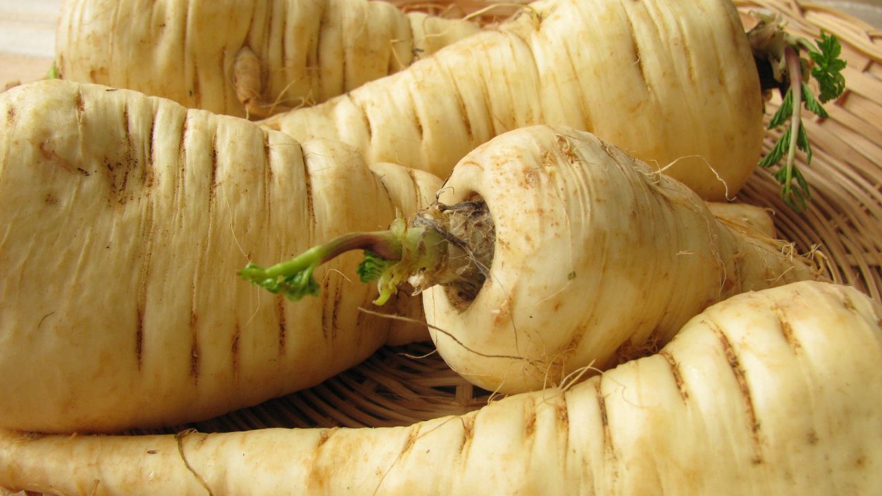 These white, carrotlike roots are a great <a href="http://nutritiondata.self.com/facts/vegetables-and-vegetable-products/2514/2" target="_blank" target="_blank">source</a> of vitamins C and K, folate, potassium and manganese, as well as being low in sodium, fat and cholesterol. The smaller tubers are more flavorful and tender; they have a sweet taste, which is why <a href="http://www.fruitsandveggiesmorematters.org/parsnips" target="_blank" target="_blank">Europeans</a> used them in jams and sweets.
