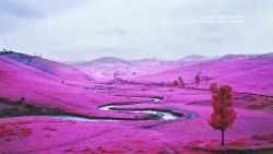 cnnee tal photography congo in technicolor_00015908.jpg