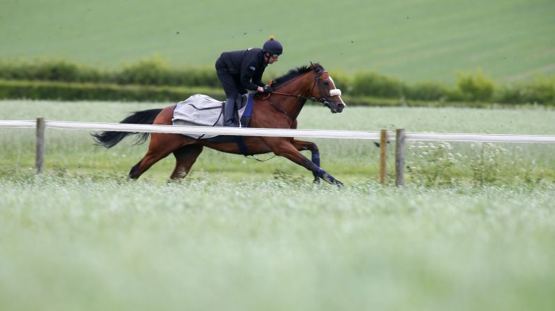 Elm Park is among the favorites for this year's race.