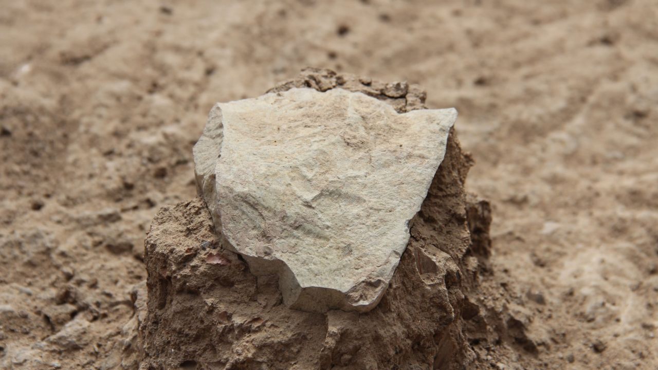 Tool unearthed at excavation site.