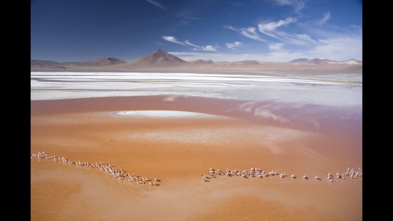 Flamingos are seen on Laguna Colorada, a lake in Potosi, Bolivia, in this aerial photograph taken by George Steinmetz in 2007. The lake is red because natural hot springs provide nutrients for red algae to bloom. The lake has the largest population of flamingos of any lake in the region.