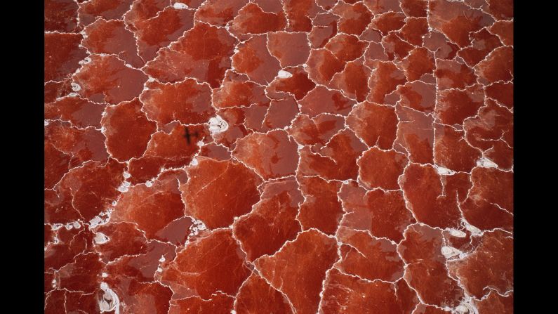 Salt-loving algae gives a red color to the hypersaline waters of Lake Natron in the Great Rift Valley, which is on the border between Tanzania and Kenya. The lake has an unusual mineral content that is leached from surrounding volcanos.