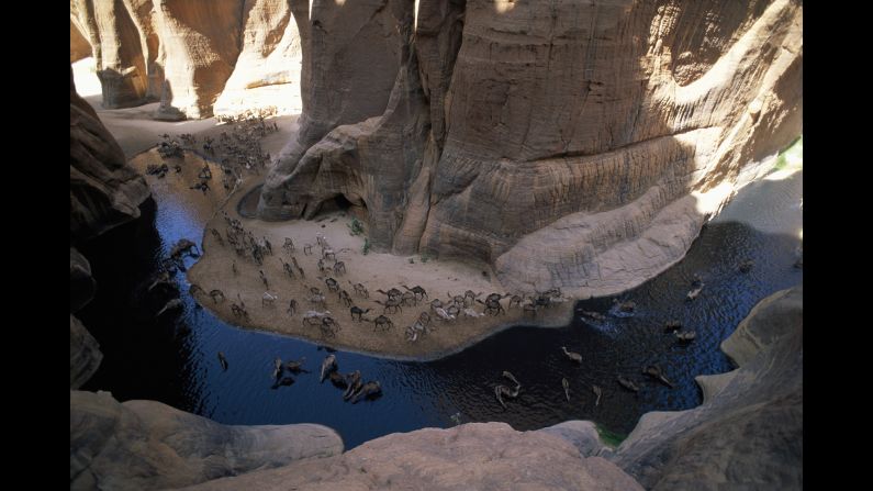 Guelta Archei in Chad is one of the few permanent water holes on the Ennedi plateau in the Sahara desert. Camels are brought here from the surrounding thorn scrub to drink its water, which is stained black from their droppings.