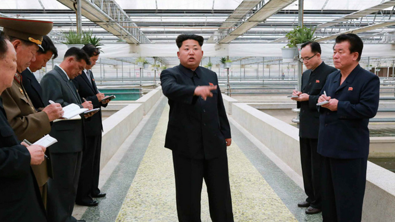 An undated photo released on Tuesday, May 19 shows North Korean leader Kim Jong Un at a terrapin farm.