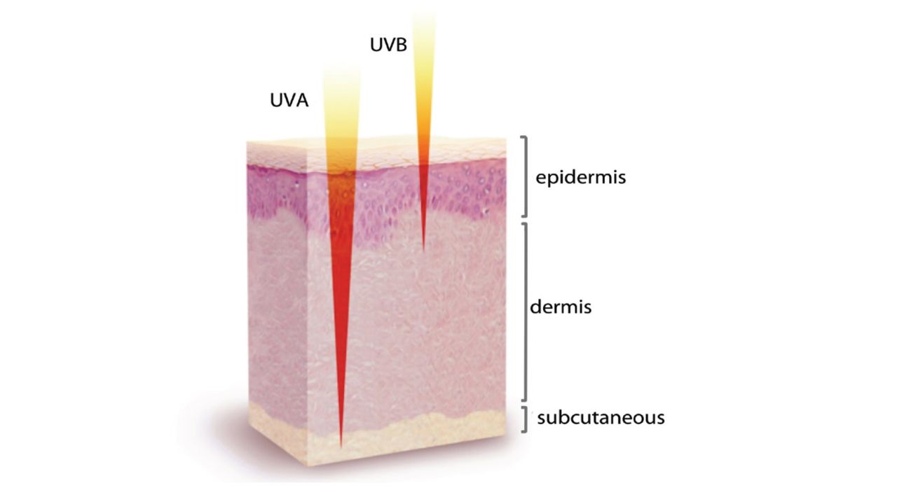 Types of ultraviolet radiation and skin penetration