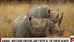 intv flocken black rhino hunt controversy_00023017.jpg