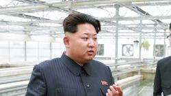 This undated picture released from North Korea's official Korean Central News Agency (KCNA) on May 19, 2015 shows North Korean leader Kim Jong-Un (C) inspecting the Taedonggang terrapin farm in Pyongyang. AFP PHOTO / KCNA via KNS REPUBLIC OF KOREA OUT
THIS PICTURE WAS MADE AVAILABLE BY A THIRD PARTY. AFP CAN NOT INDEPENDENTLY VERIFY THE AUTHENTICITY, LOCATION, DATE AND CONTENT OF THIS IMAGE. THIS PHOTO IS DISTRIBUTED EXACTLY AS RECEIVED BY AFP.
---EDITORS NOTE--- RESTRICTED TO EDITORIAL USE - MANDATORY CREDIT "AFP PHOTO / KCNA VIA KNS" - NO MARKETING NO ADVERTISING CAMPAIGNS - DISTRIBUTED AS A SERVICE TO CLIENTS KNS/AFP/Getty Images