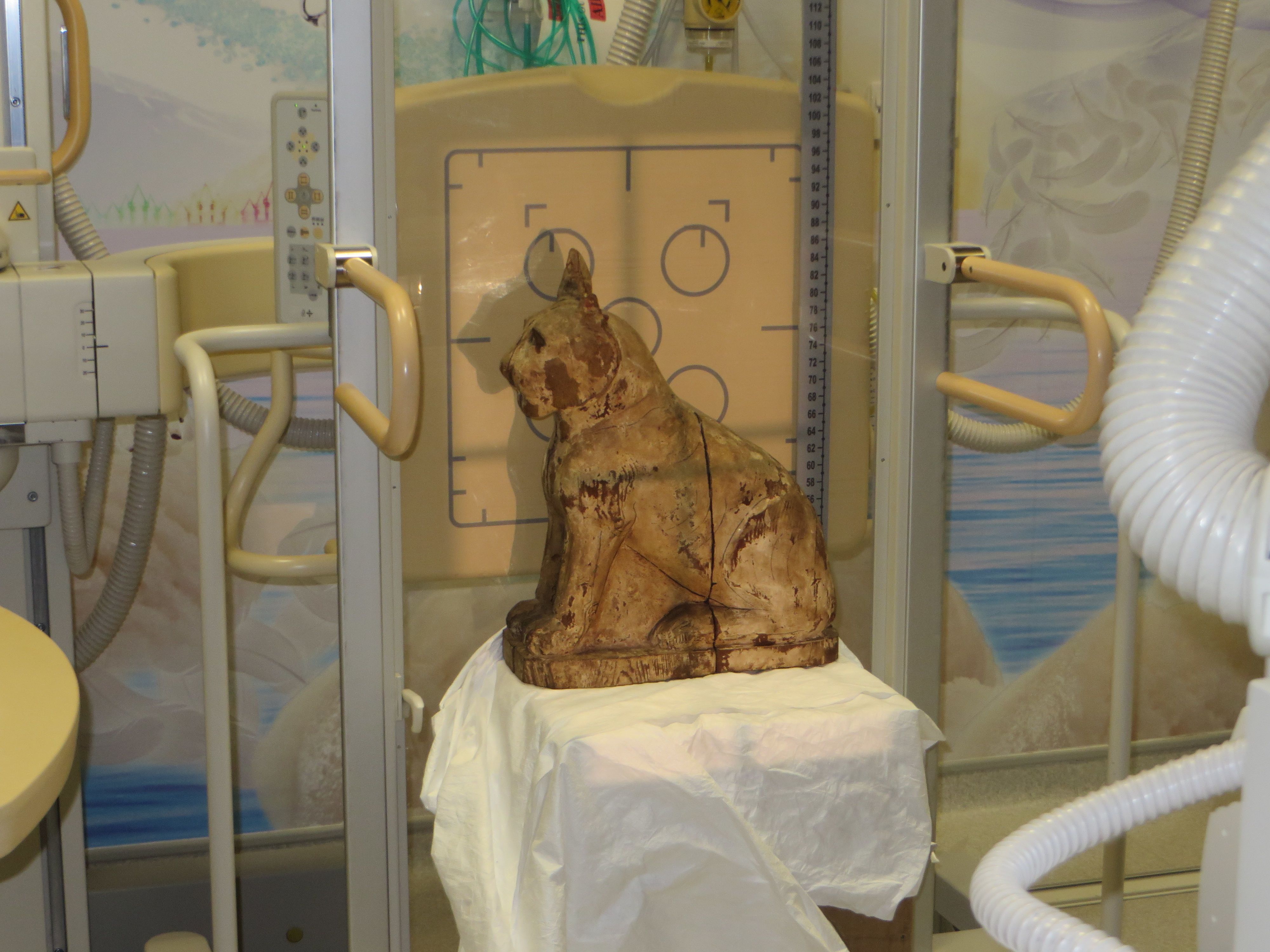 Animal Mummies – Learning at Manchester Museum