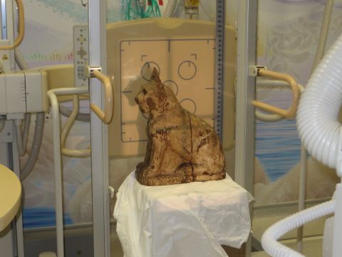 The cat coffin at Royal Manchester Children's Hospital where it  and the other animal mummies were scanned.