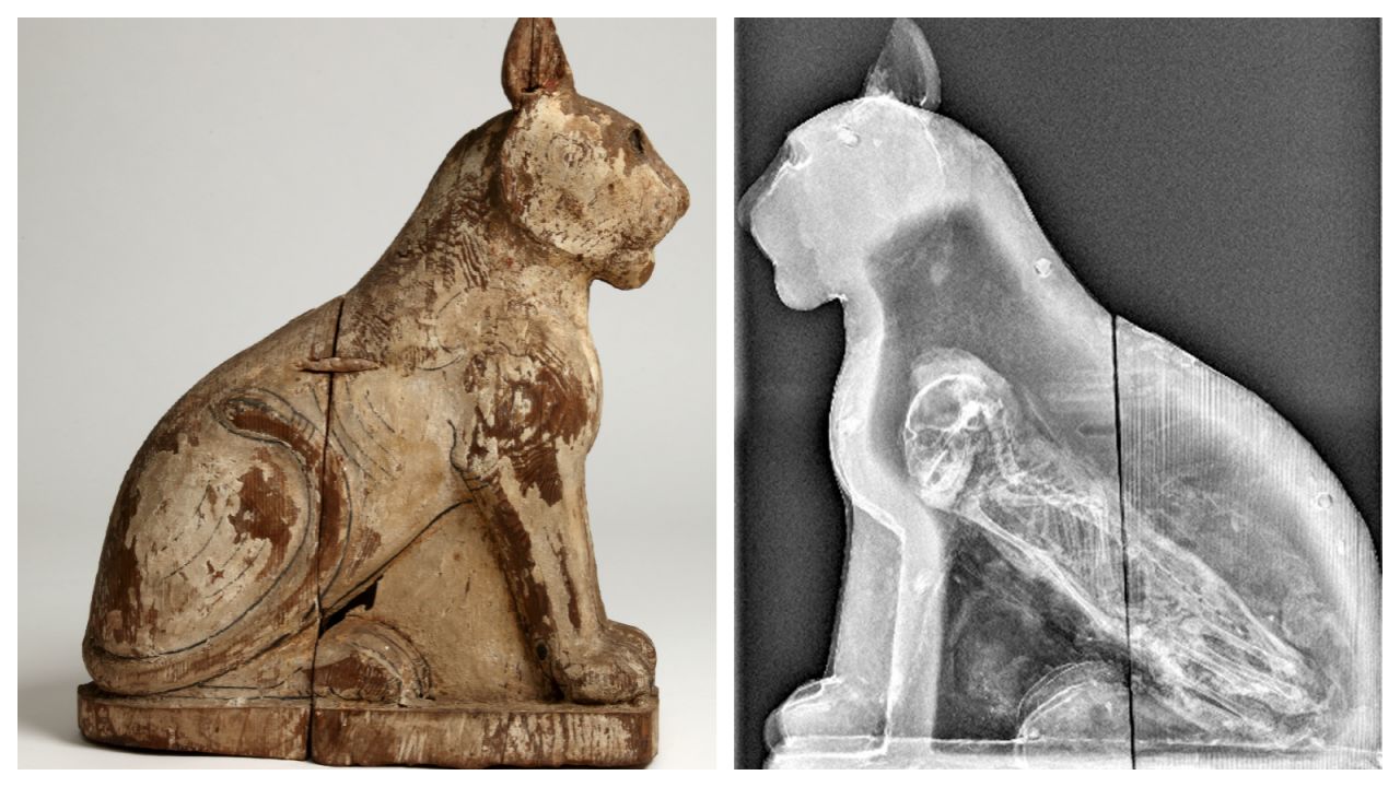 Do Egypt's empty animal mummies reveal an ancient scam? | CNN