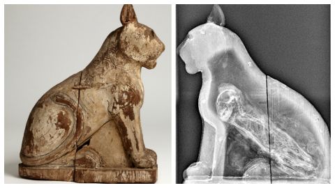 This cat mummy came from Saqqara, south of modern day Cairo. It was in "a major animal cemetery, and is fascinating because it has never been opened," says Lidija McKnight.