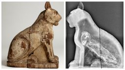 The cat mummy came from Saqqara, south of modern day cairo. It was "a major animal cemetery," says Dr Lidija McKnight.