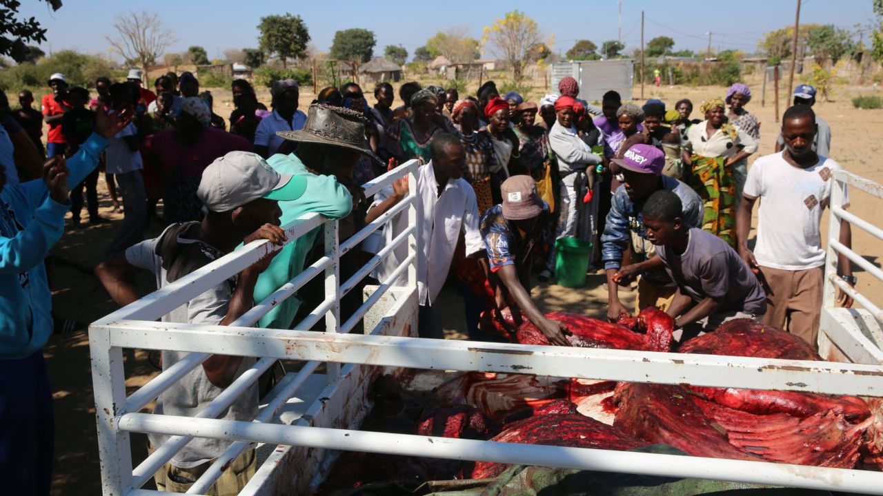 Nearly 18 months ago, the Texas hunter bid $350,000 to kill a black rhino in the southern African country. The permit was issued by Namibia's Ministry of Environment and Tourism and auctioned by the Dallas Safari Club.