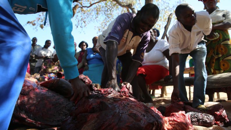 Villagers welcome rhino meat | CNN