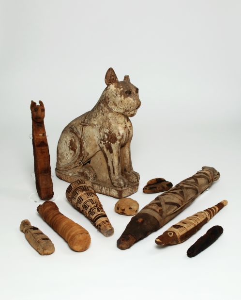 Journey to ancient Egypt in Return of the Cat Mummy