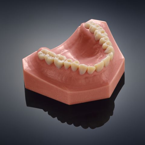 Printed horns will be followed by printed teeth for humans, as with this set from Stratasys. 